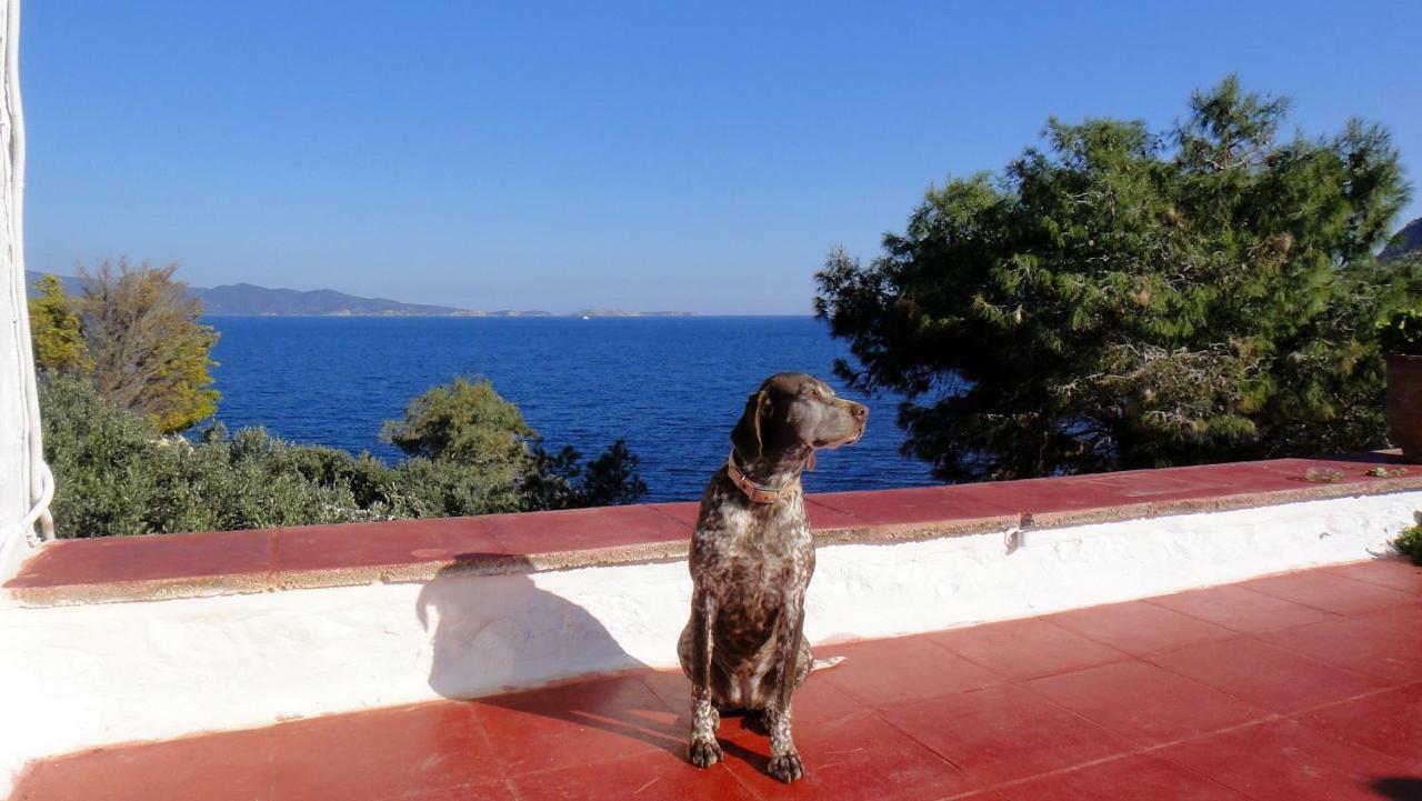Villa Tramontana Hidra Exterior foto
